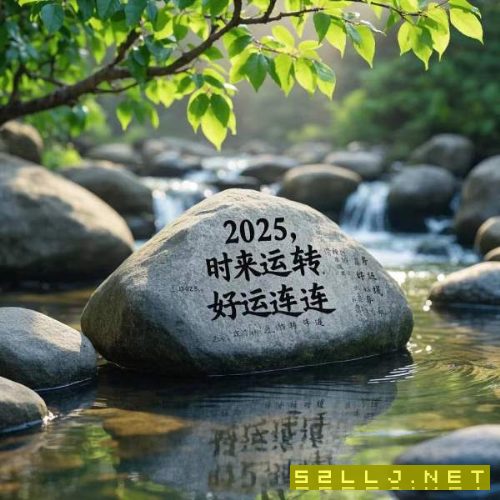 2台250吨双点，新款，带移动台，仓库提货了_